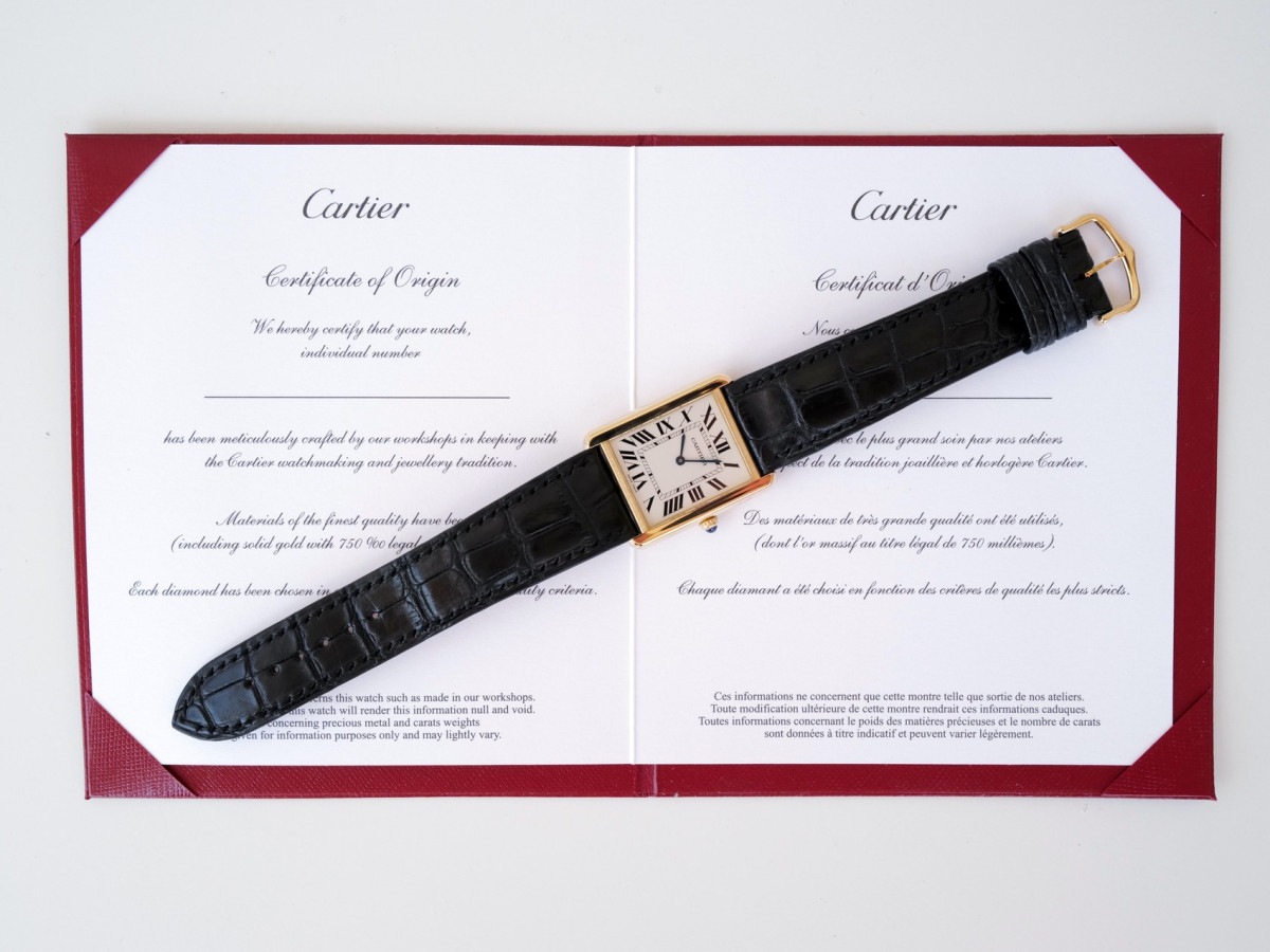 Часы Cartier Tank Solo 18K Yellow Gold Steel Quartz W1018855[9]